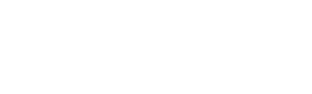 Mafia: The Old Country